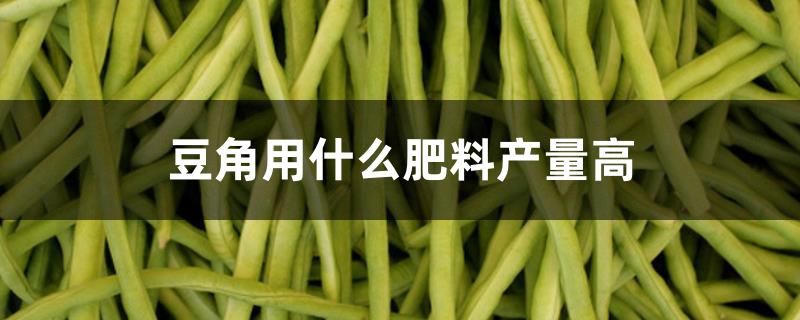 豆角用什么肥料产量高 豆角用什么肥料产量高