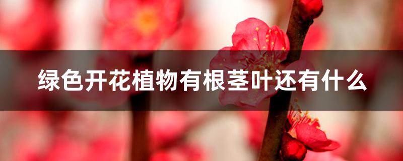 绿色开花植物有根茎叶还有什么 绿色开花植物有根茎叶还有什么