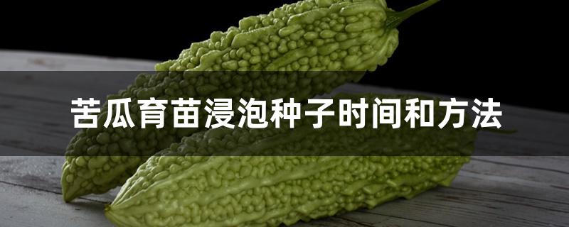 苦瓜育苗浸泡种子时间和方法