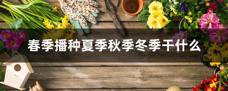 春季播种夏季秋季冬季干什么 春季播种夏季秋季冬季干什么