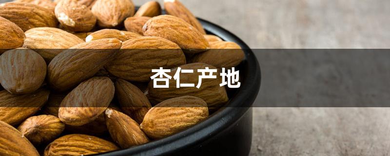 杏仁产地 杏仁产地