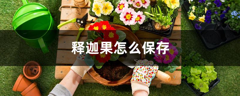 释迦果怎么保存 释迦果怎么保存