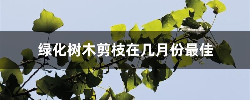 绿化树木剪枝在几月份最佳 绿化树木剪枝在几月份最佳