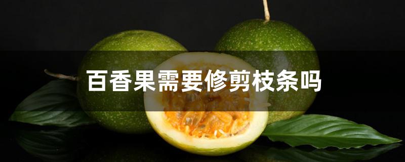 百香果需要修剪枝条吗 百香果需要修剪枝条吗