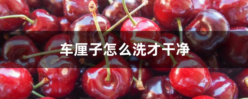车厘子怎么洗才干净 车厘子怎么洗才干净