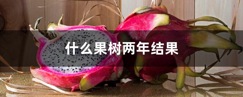 什么果树两年结果 什么果树两年结果