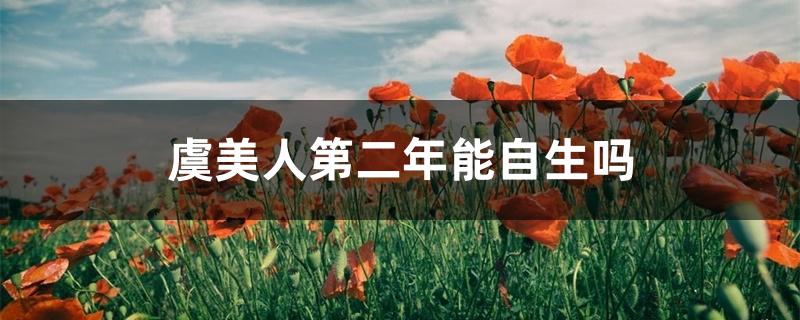 虞美人第二年能自生吗 虞美人第二年能自生吗