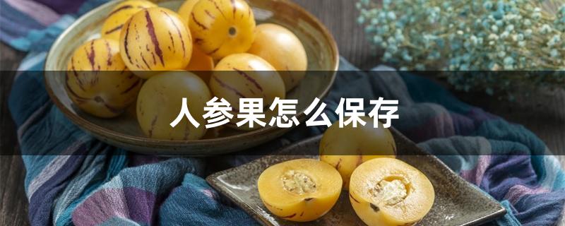 人参果怎么保存 人参果怎么保存