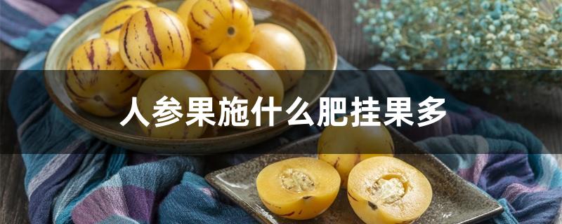 人参果施什么肥挂果多 人参果施什么肥挂果多