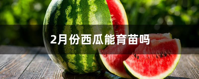 2月份西瓜能育苗吗 2月份西瓜能育苗吗