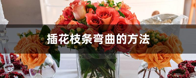 插花枝条弯曲的方法 插花枝条弯曲的方法