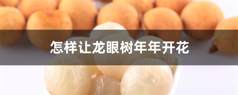 怎样让龙眼树年年开花 怎样让龙眼树年年开花
