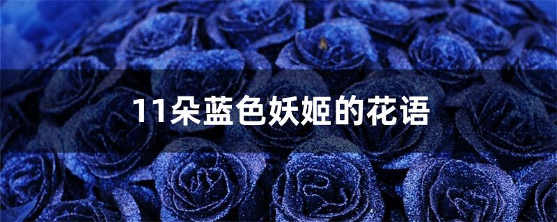 11朵蓝色妖姬的花语 11朵蓝色妖姬的花语