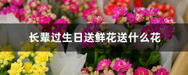 长辈过生日送鲜花送什么花 长辈过生日送鲜花送什么花