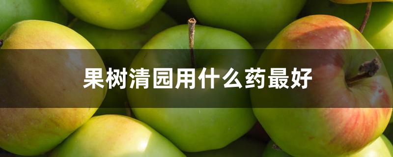 果树清园用什么药最好 果树清园用什么药最好