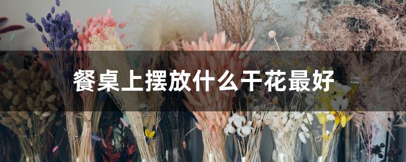 餐桌上摆放什么干花最好 餐桌上摆放什么干花最好