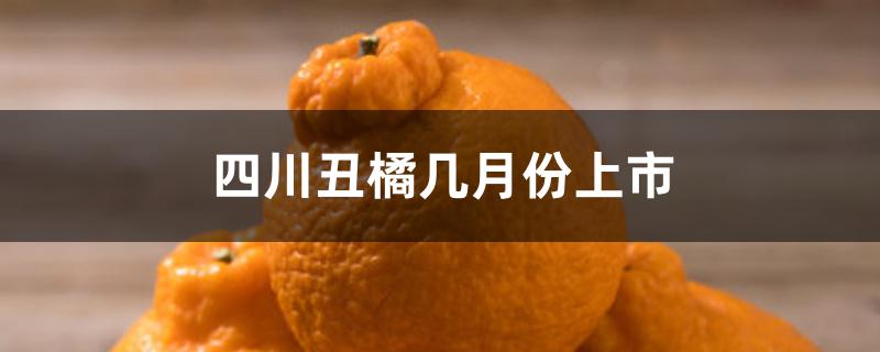 四川丑橘几月份上市 四川丑橘几月份上市