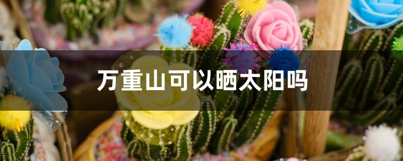 万重山可以晒太阳吗 万重山可以晒太阳吗