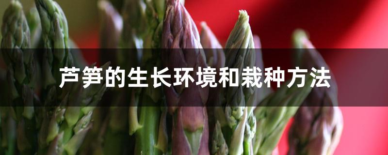 芦笋的生长环境和栽种方法 芦笋的生长环境和栽种方法