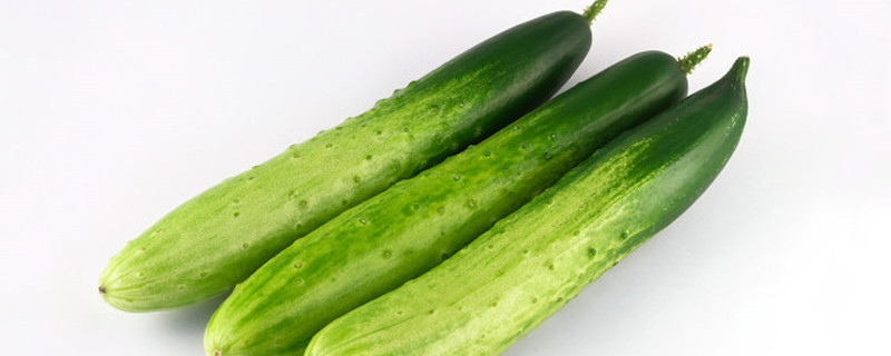 蔬菜有哪些种类 蔬菜有哪些种类