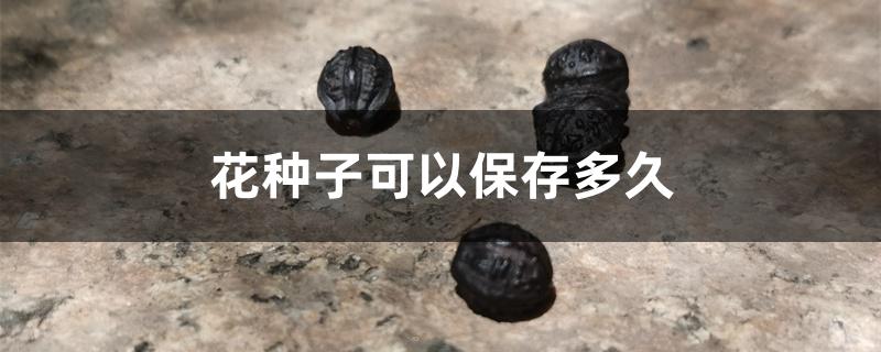 花种子可以保存多久 花种子可以保存多久