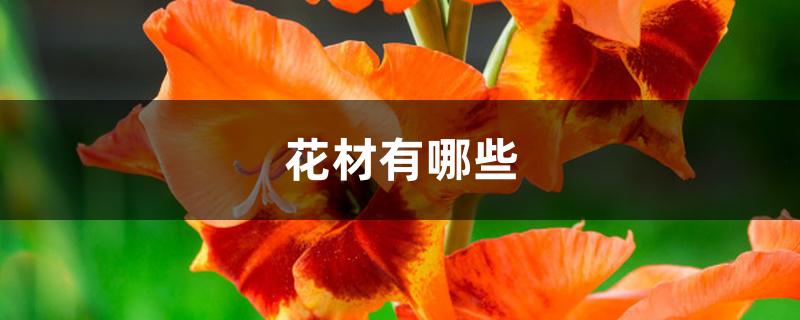 花材有哪些 花材有哪些