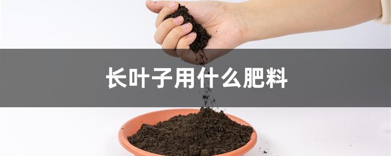 长叶子用什么肥料 长叶子用什么肥料