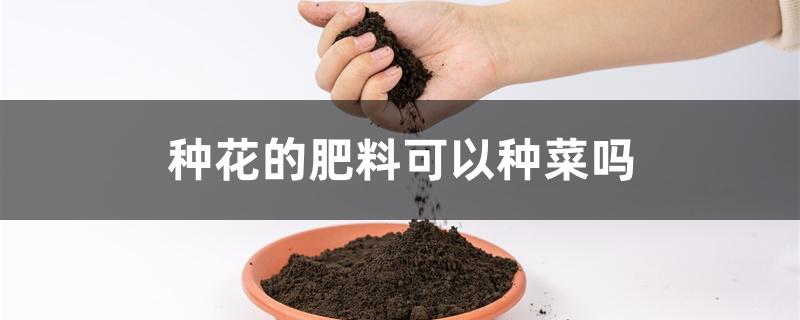 种花的肥料可以种菜吗 种花的肥料可以种菜吗