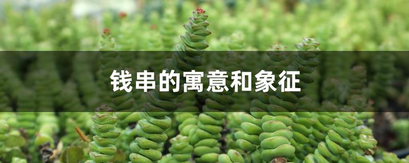 钱串的寓意和象征 钱串的寓意和象征