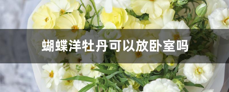 蝴蝶洋牡丹可以放卧室吗 蝴蝶洋牡丹可以放卧室吗