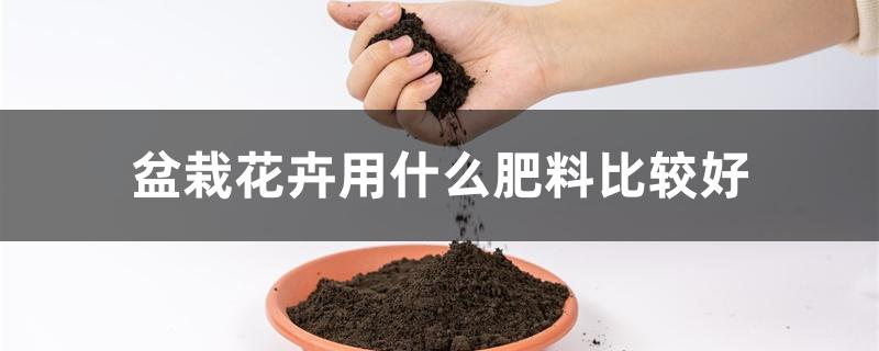 盆栽花卉用什么肥料比较好 盆栽花卉用什么肥料比较好