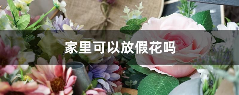家里可以放假花吗 家里可以放假花吗