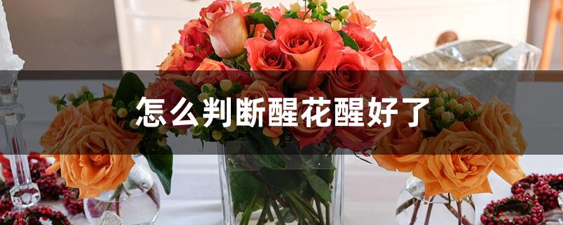 怎么判断醒花醒好了 怎么判断醒花醒好了
