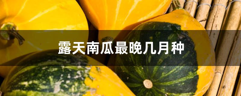 露天南瓜最晚几月种 露天南瓜最晚几月种