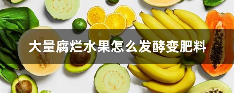 大量腐烂水果怎么发酵变肥料 大量腐烂水果怎么发酵变肥料