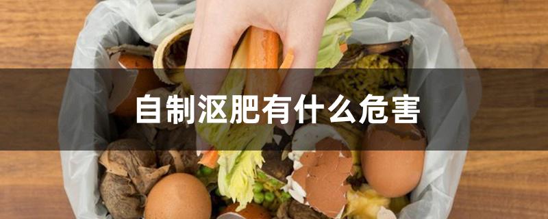 自制沤肥有什么危害 自制沤肥有什么危害