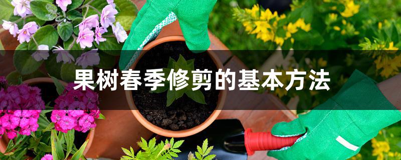 果树春季修剪的基本方法 果树春季修剪的基本方法