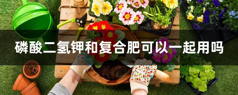 磷酸二氢钾和复合肥可以一起用吗