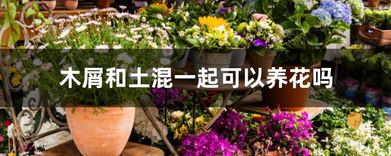 木屑和土混一起可以养花吗 木屑和土混一起可以养花吗