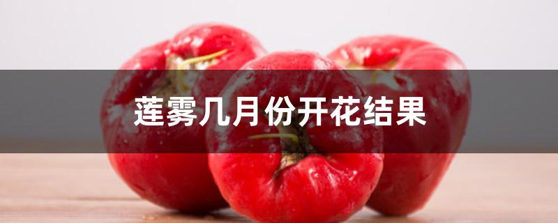 莲雾几月份开花结果 莲雾几月份开花结果