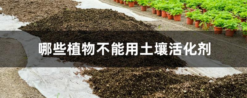哪些植物不能用土壤活化剂 哪些植物不能用土壤活化剂