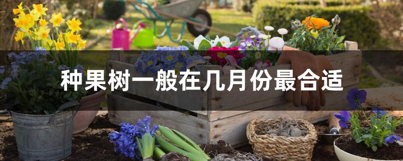 种果树一般在几月份最合适 种果树一般在几月份最合适