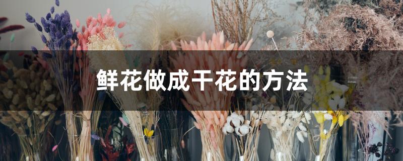 鲜花做成干花的方法 鲜花做成干花的方法