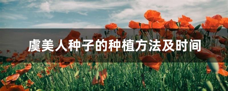 虞美人种子的种植方法及时间 虞美人种子的种植方法及时间