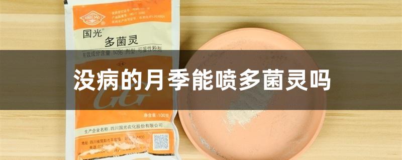没病的月季能喷多菌灵吗 没病的月季能喷多菌灵吗
