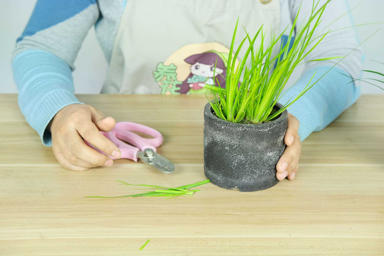 石菖蒲