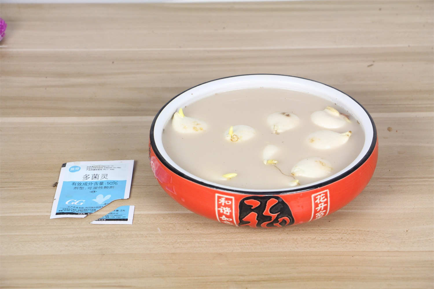 郁金香