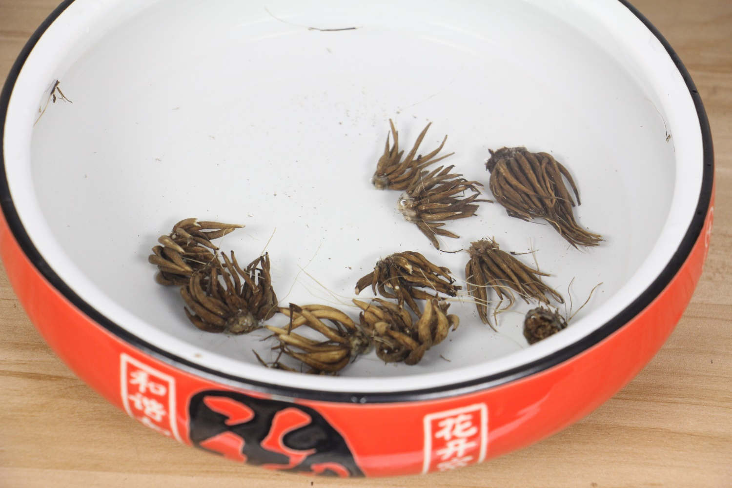 花毛茛