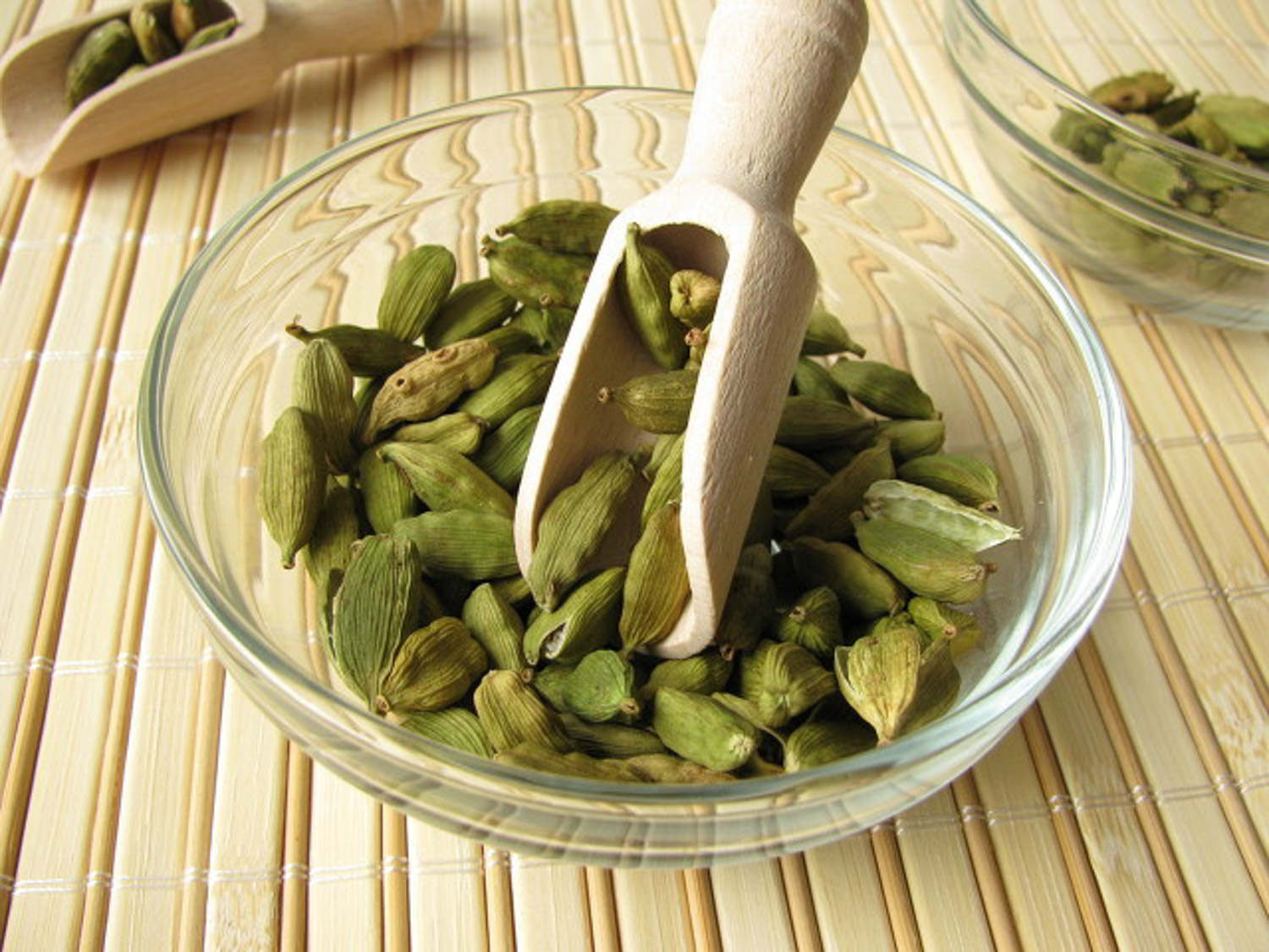 白豆蔻
