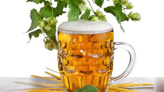 养花浇啤酒有什么作用 养花浇啤酒有什么作用
